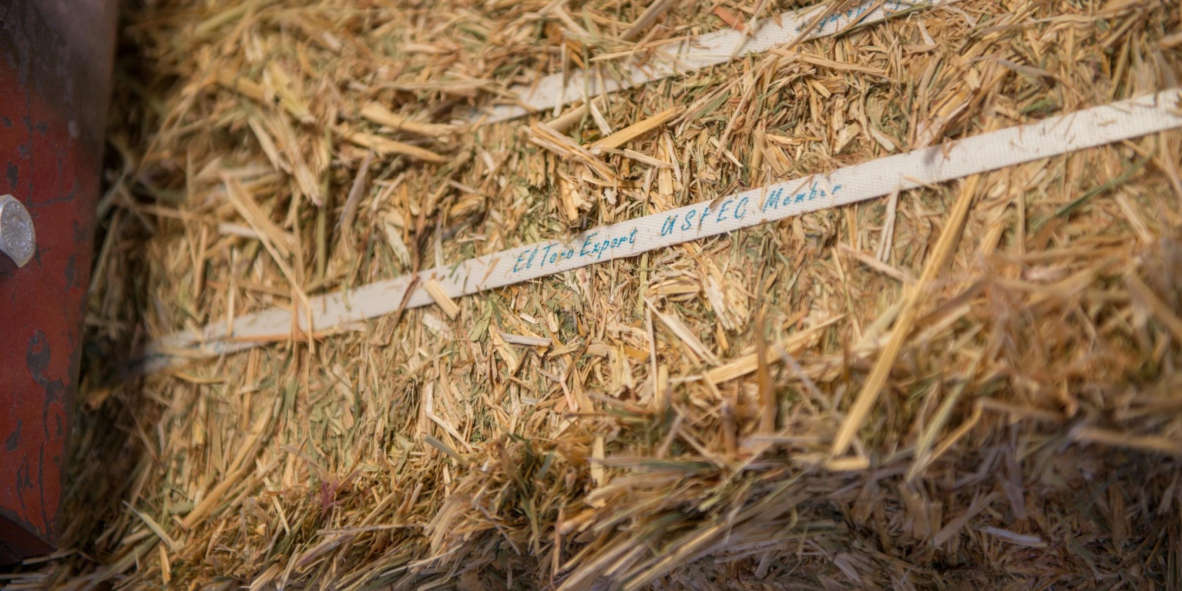 Close up of hay bale
