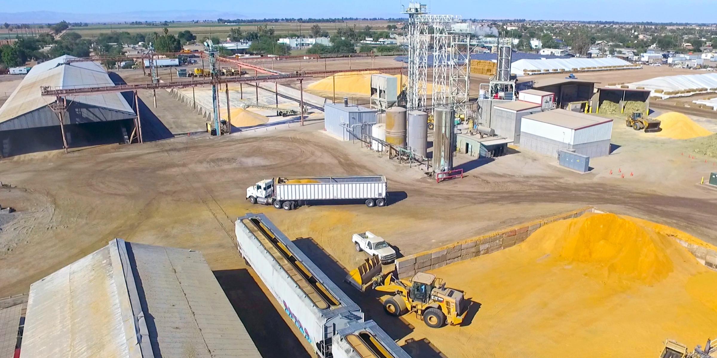 Seed being loaded onto trucks and train cars