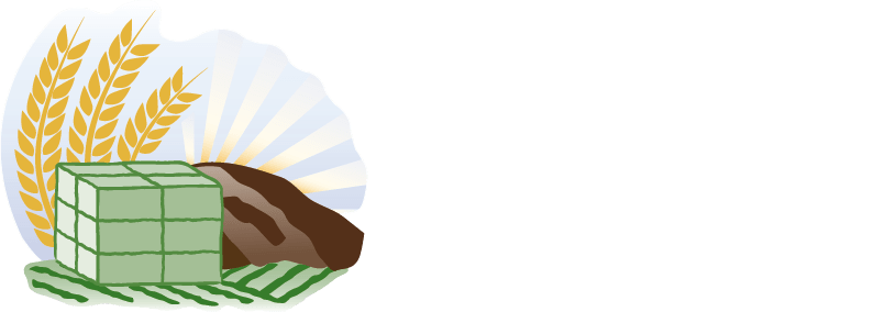 El Toro Export