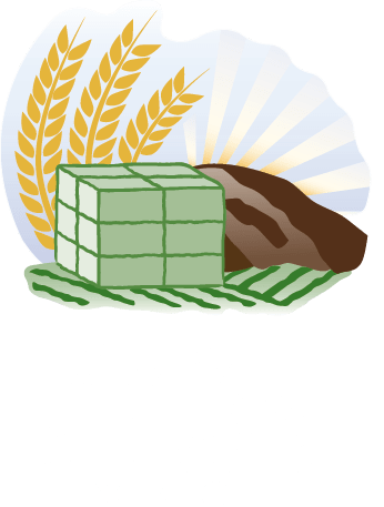 El Toro Export